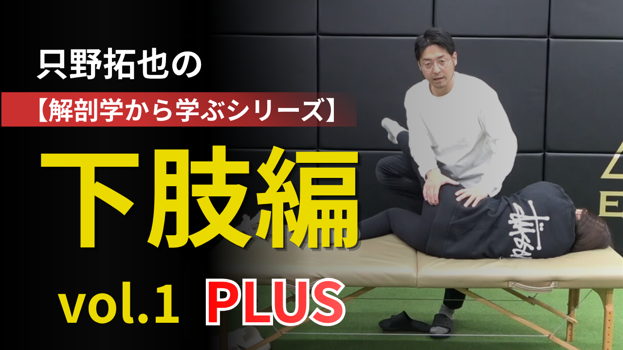 新作サムネイル